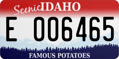 ID license plate E006465