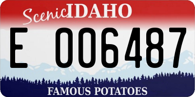 ID license plate E006487