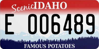 ID license plate E006489