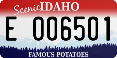 ID license plate E006501