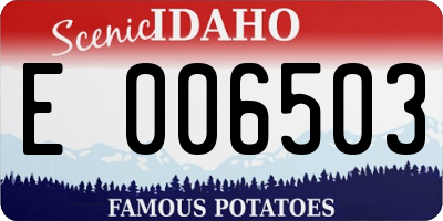 ID license plate E006503