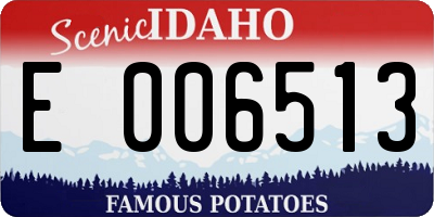 ID license plate E006513