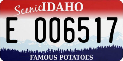 ID license plate E006517