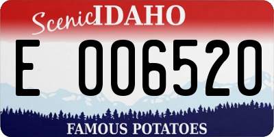 ID license plate E006520