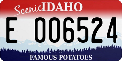 ID license plate E006524