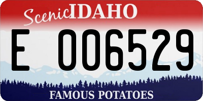 ID license plate E006529