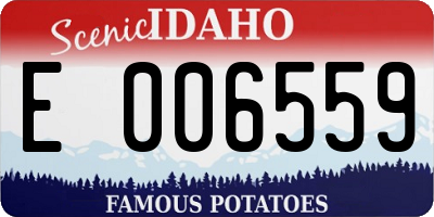 ID license plate E006559