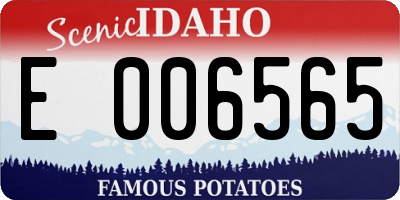 ID license plate E006565