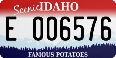 ID license plate E006576