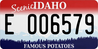 ID license plate E006579