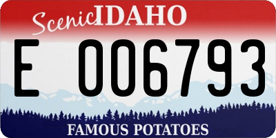 ID license plate E006793