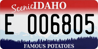 ID license plate E006805