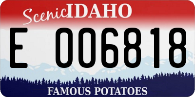 ID license plate E006818
