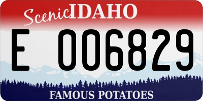 ID license plate E006829