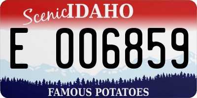 ID license plate E006859