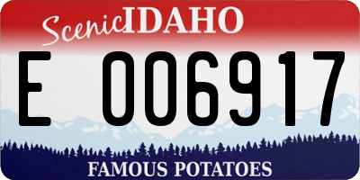 ID license plate E006917