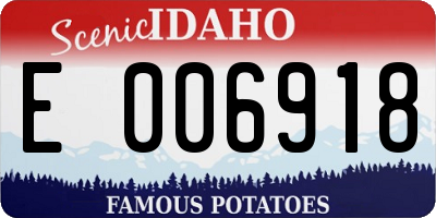 ID license plate E006918