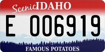 ID license plate E006919