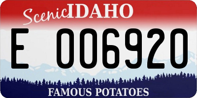 ID license plate E006920