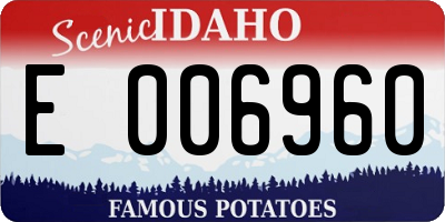 ID license plate E006960