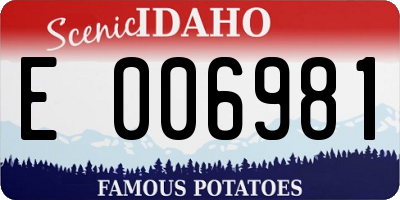 ID license plate E006981