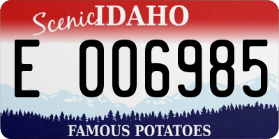 ID license plate E006985