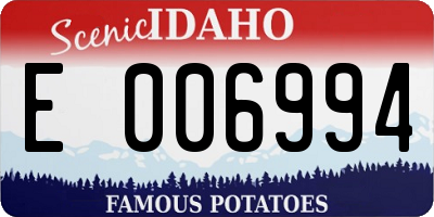 ID license plate E006994