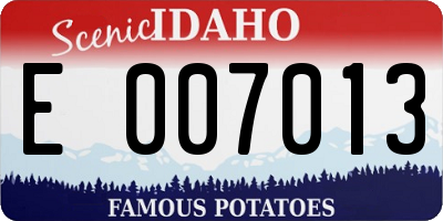 ID license plate E007013