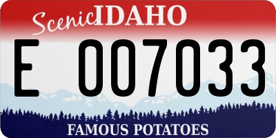 ID license plate E007033