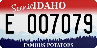 ID license plate E007079