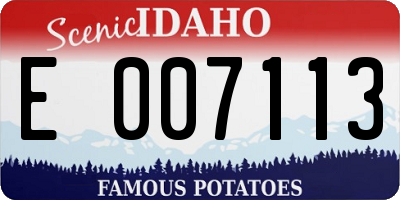 ID license plate E007113