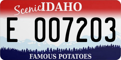 ID license plate E007203