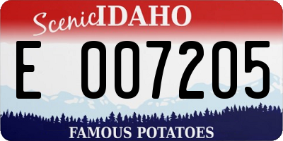 ID license plate E007205