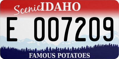 ID license plate E007209