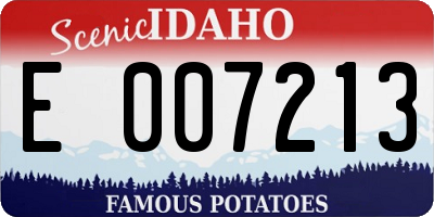 ID license plate E007213