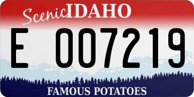 ID license plate E007219