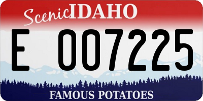 ID license plate E007225