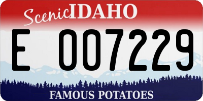 ID license plate E007229