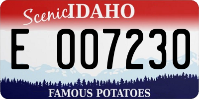 ID license plate E007230