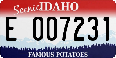 ID license plate E007231