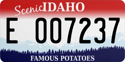 ID license plate E007237