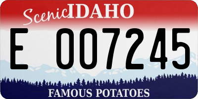 ID license plate E007245