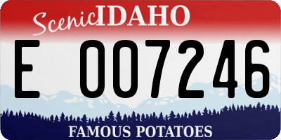 ID license plate E007246