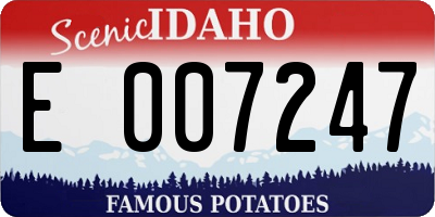 ID license plate E007247