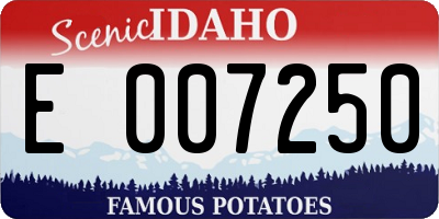 ID license plate E007250