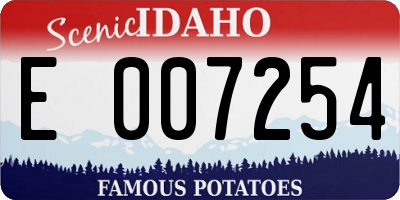 ID license plate E007254