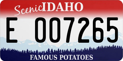 ID license plate E007265