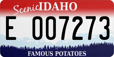 ID license plate E007273