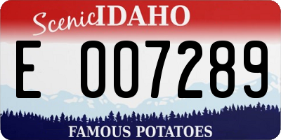 ID license plate E007289