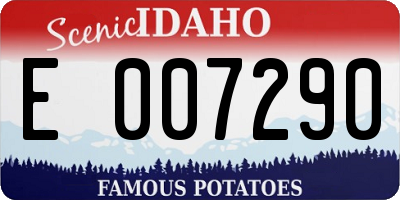 ID license plate E007290